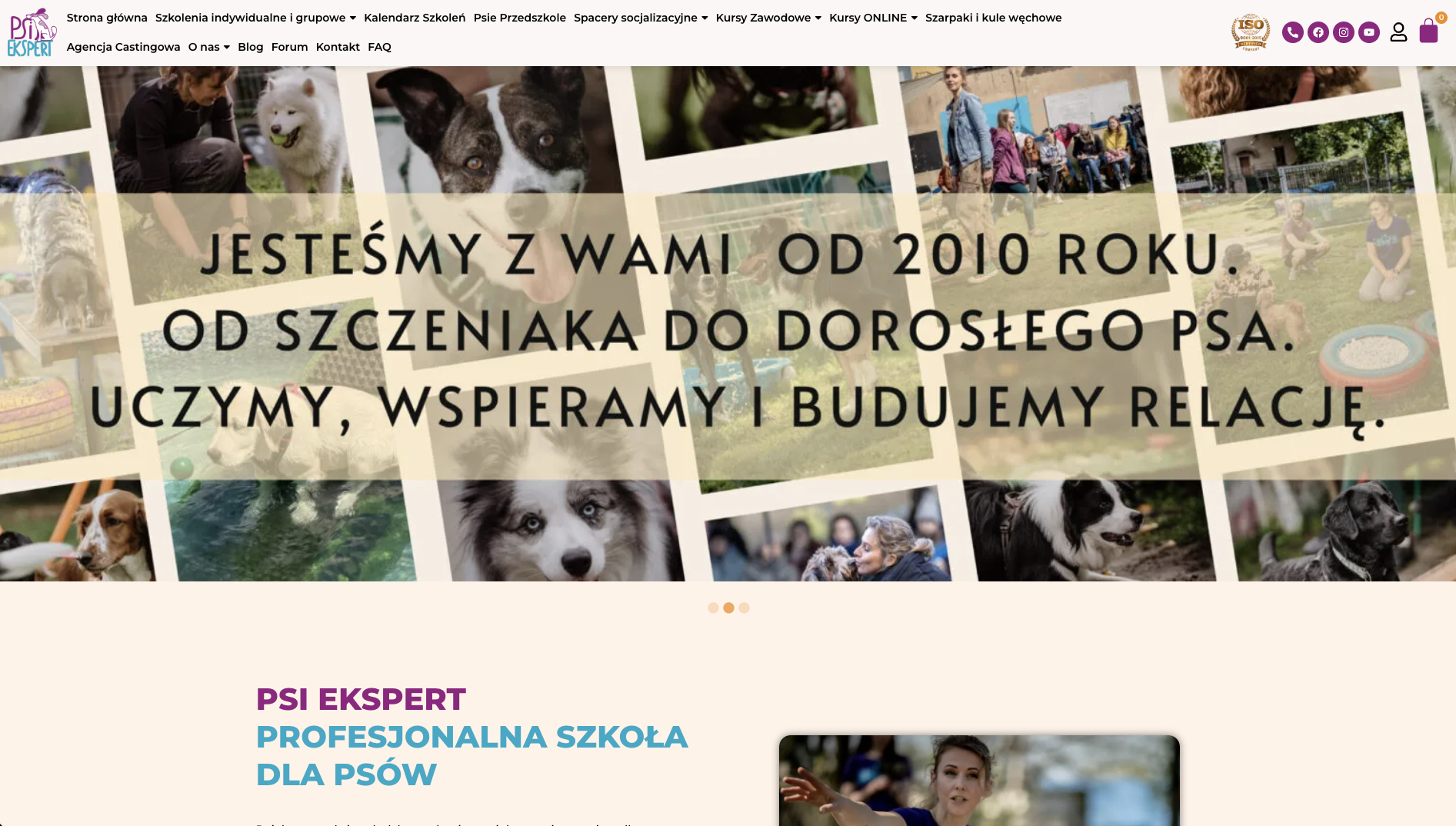Strona internetowa Psi Ekspert