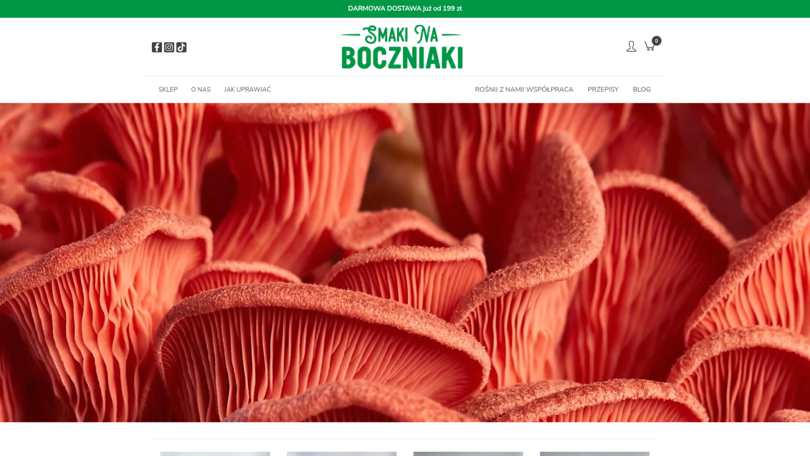 Strona internetowa SmakiNaBoczniaki